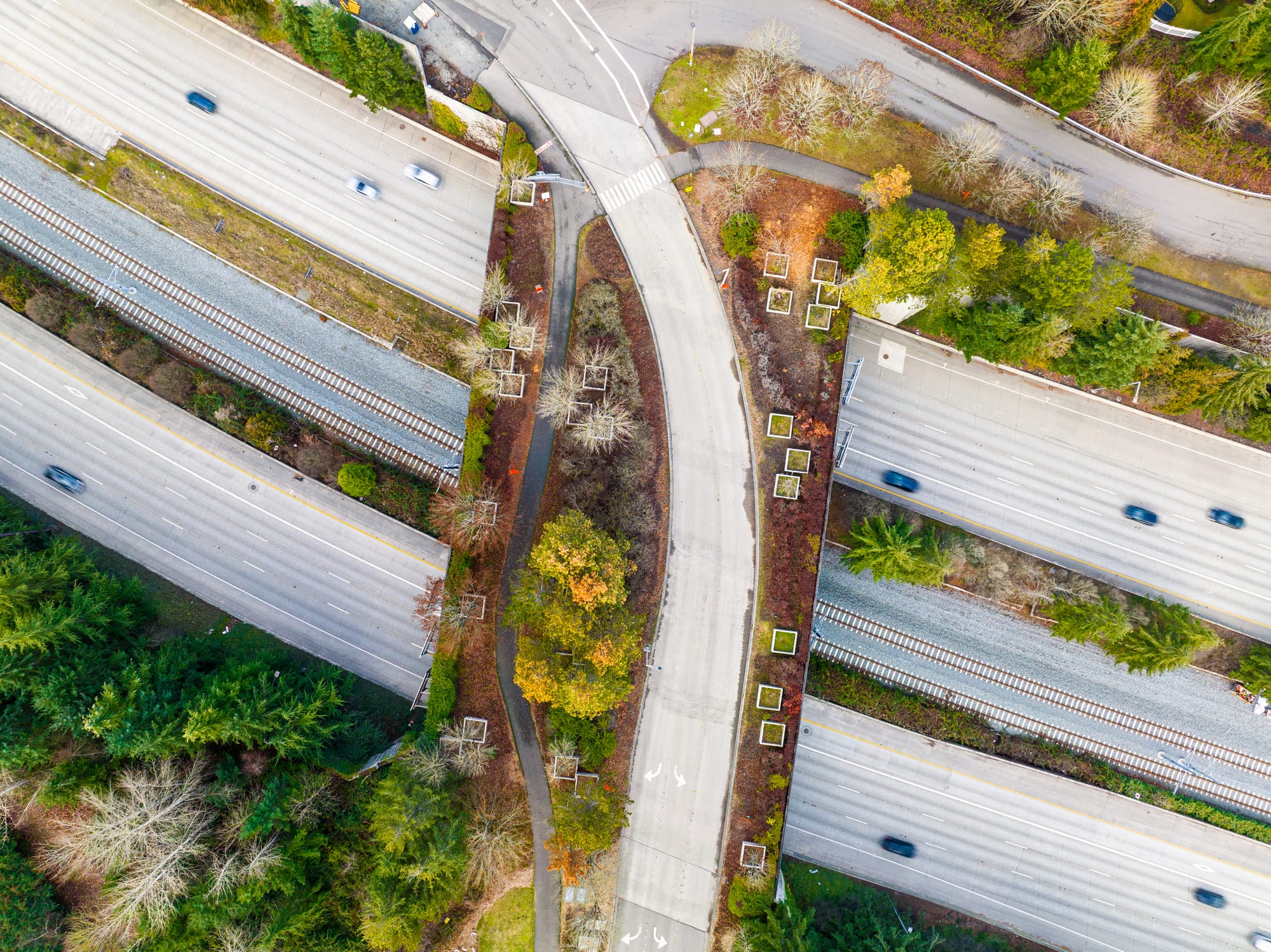 A wildlife crossing bridge over a highway road