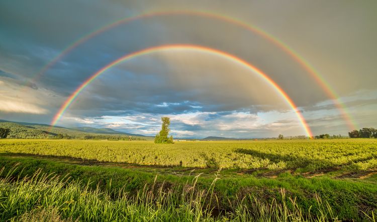 A double rainbow in a beautiful green field. 